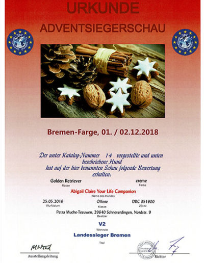 Abby-Urkunde-Adventsiegerschau-Bremen-Farge